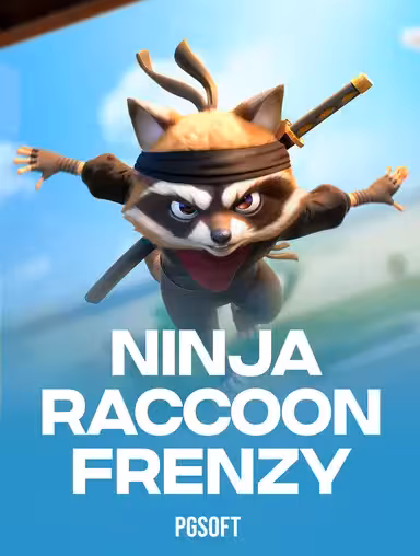 Ninja Raccoon